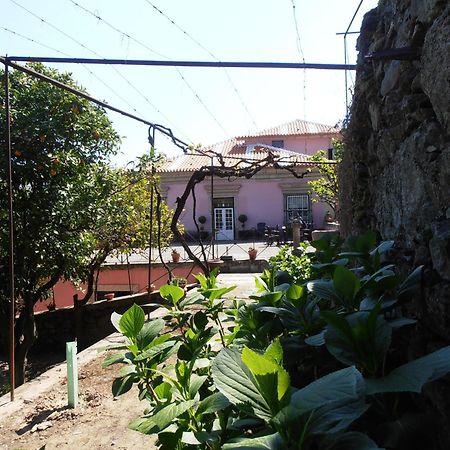 Casa Dos Varais, Manor House 라메구 외부 사진