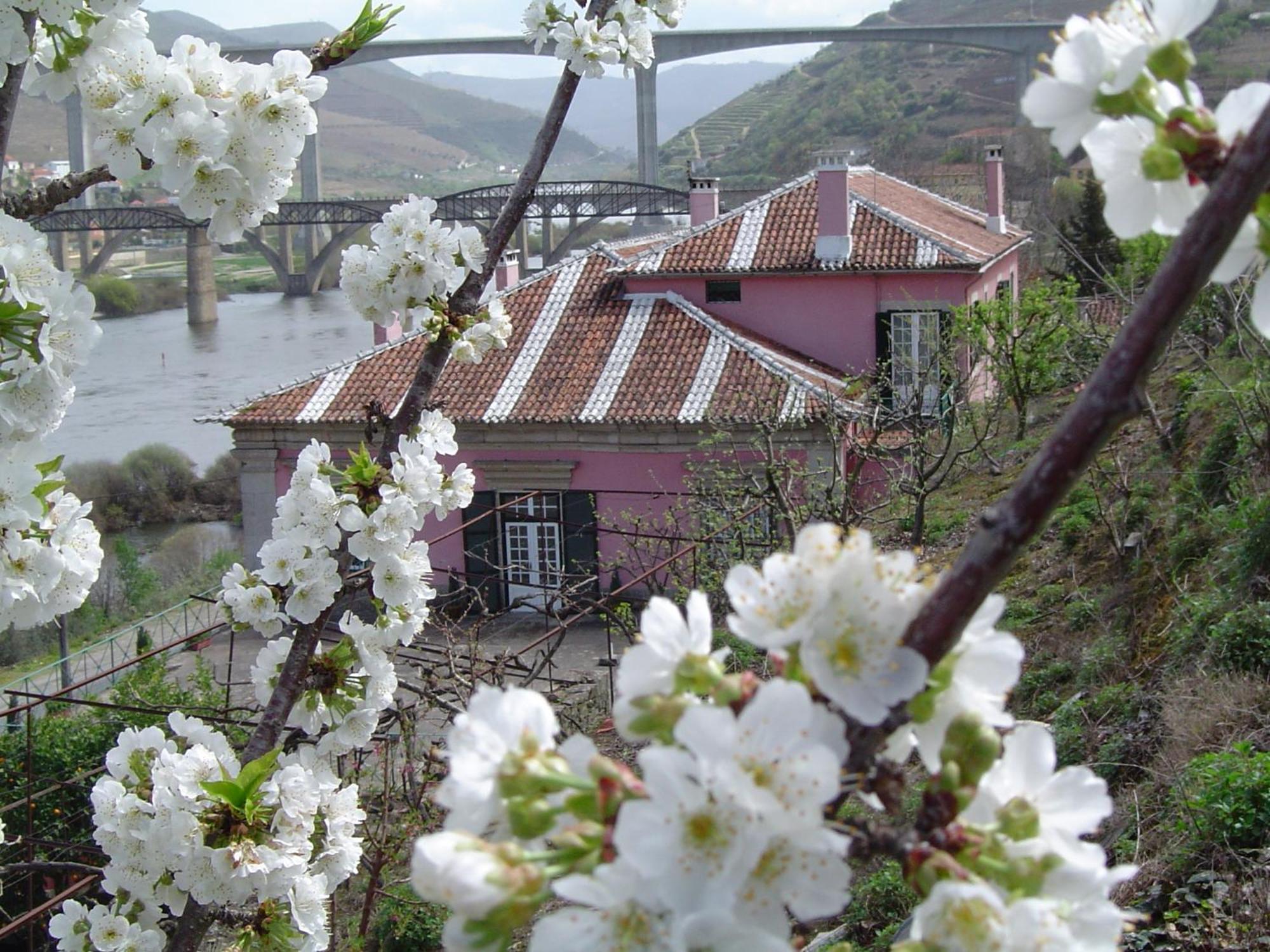 Casa Dos Varais, Manor House 라메구 외부 사진