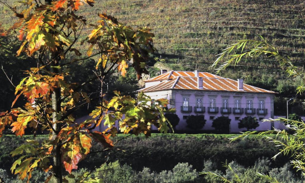 Casa Dos Varais, Manor House 라메구 외부 사진